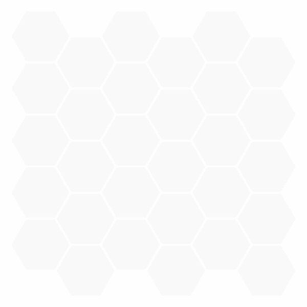 Se afișează imaginea 1 din 10