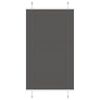 vidaXL Jaluzea plisată negru 75x100cm Lățime țesătură 74,4 cm poliester