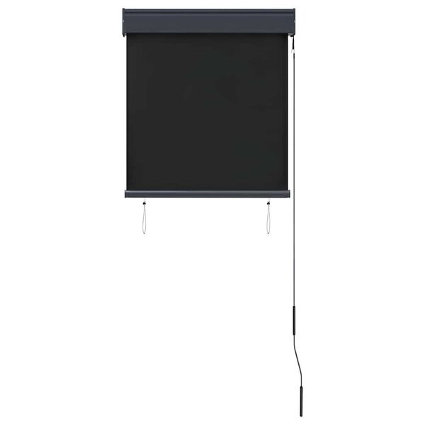 vidaXL Jaluzea tip rulou de exterior, antracit, 60 x 250 cm