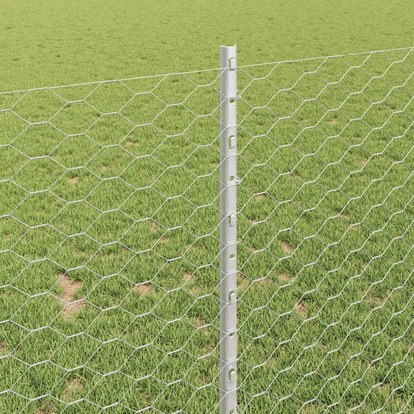 Se afișează imaginea 4 din 14