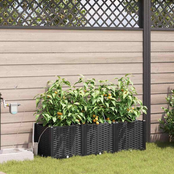 Se afișează imaginea 2 din 10
