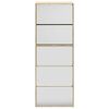 vidaXL Pantofar cu 5 niveluri și oglindă, stejar, 63 x 17 x 169,5 cm