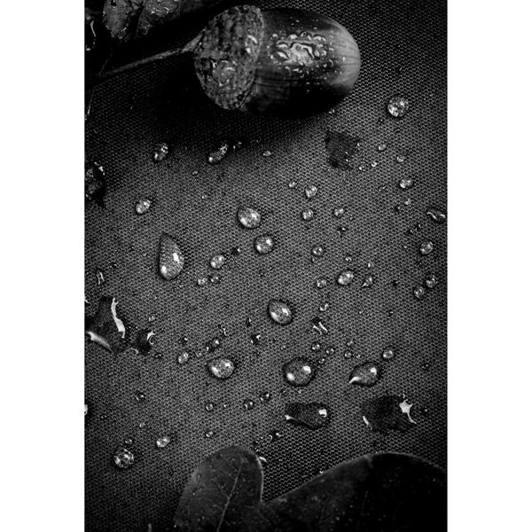 Se afișează imaginea 4 din 10