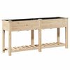 vidaXL Vază pentru Grădină Bej 161 x 43 x 76,5 cm Lemn de Brad Solid