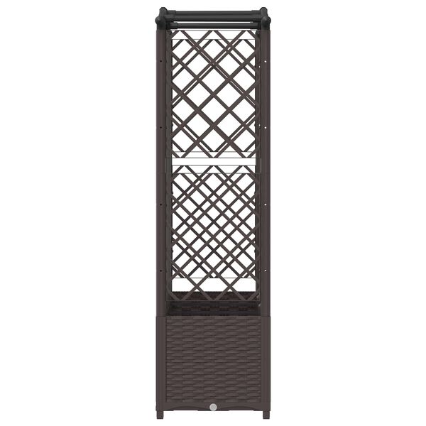 Se afișează imaginea 4 din 8