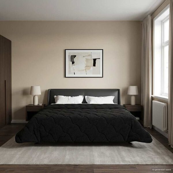 Se afișează imaginea 2 din 10