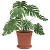 vidaXL Ghivece pentru plante 24 pcs Roșu cărămidă &Oslash; 17 x 14 cm Plastic