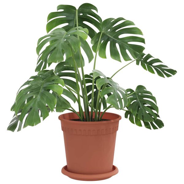vidaXL Ghivece pentru plante 24 pcs Roșu cărămidă &Oslash; 17 x 14 cm Plastic