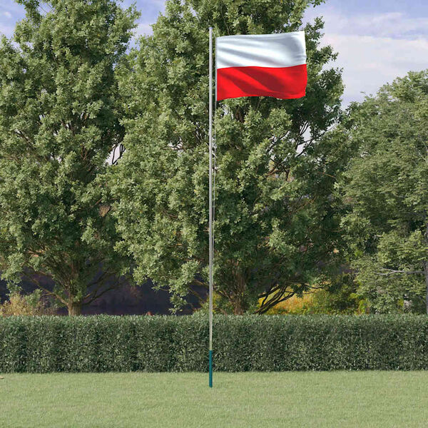 Se afișează imaginea 2 din 6