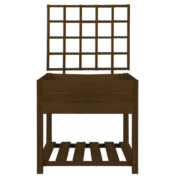 Esschert Design Spalier pentru strat &icirc;nălțat, maro, S