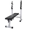 vidaXL Bancă fitness cu rastel greutăți, set haltere/gantere, 120 kg