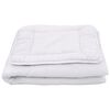 vidaXL Set pilotă copii, 3 piese, alb, 100x135 cm/40x60 cm