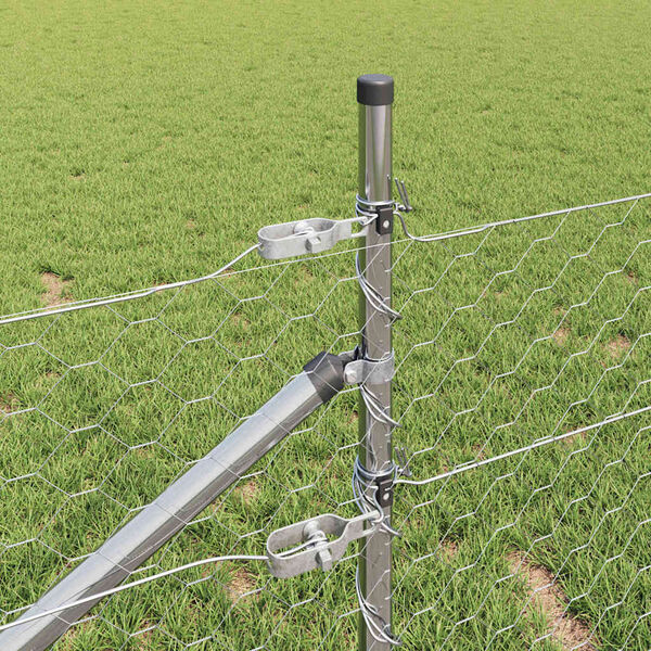 Se afișează imaginea 4 din 16