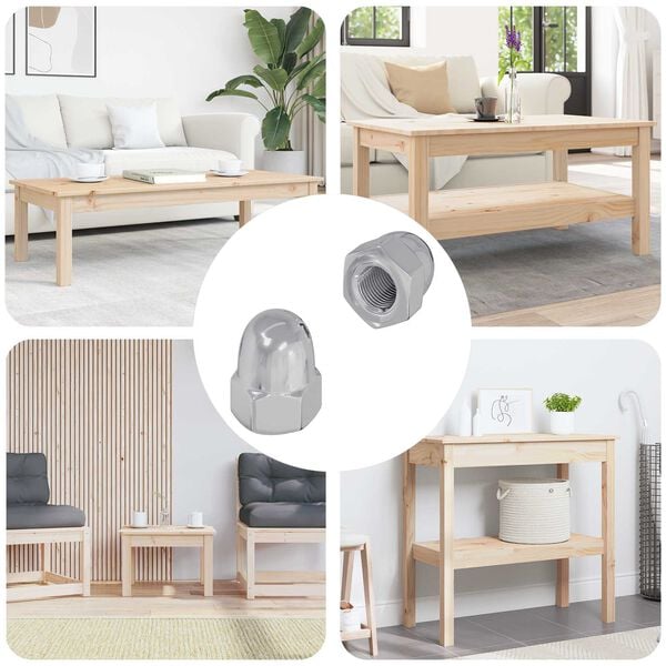 vidaXL Nucă 2 pcs Argintiu M6 x 10 mm Fier