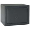 vidaXL Seif cu blocare Gri &icirc;nchis 23 x 17 x 17 cm Oțel