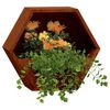 vidaXL Jardiniere de perete, 2 buc., ruginiu, 30x10x25 cm, oțel corten