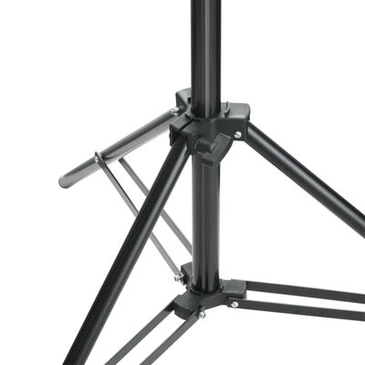 vidaXL Sistem de suport fundal, 600 x 300 cm, negru