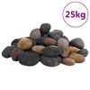vidaXL Pietricele lustruite, 25 kg, culori mixte, 5-8 cm