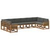 vidaXL Set de canapele de exterior 10 buc. Natural și Antracit