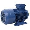 vidaXL Motor electric trifazic aluminiu 2,2kW/3CP 2 poli 2840 RPM