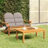 vidaXL Set mobilier de grădină Adirondack, 2 piese, lemn masiv acacia