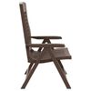 vidaXL Scaune de grădină rabatabile, 2 buc., cafeniu, plastic