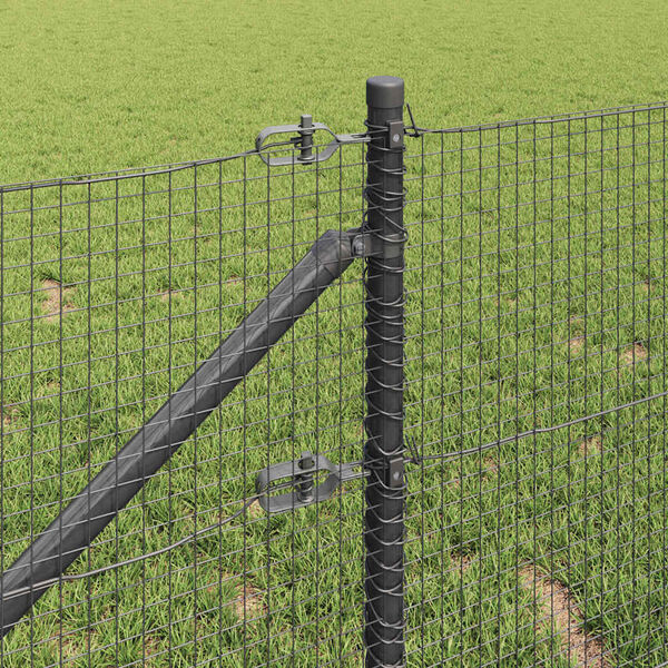 Se afișează imaginea 4 din 16