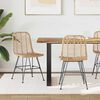 vidaXL Scaun de sufragerie 2 pcs natural 44 x 47 x 85 cm Ratan și Fier