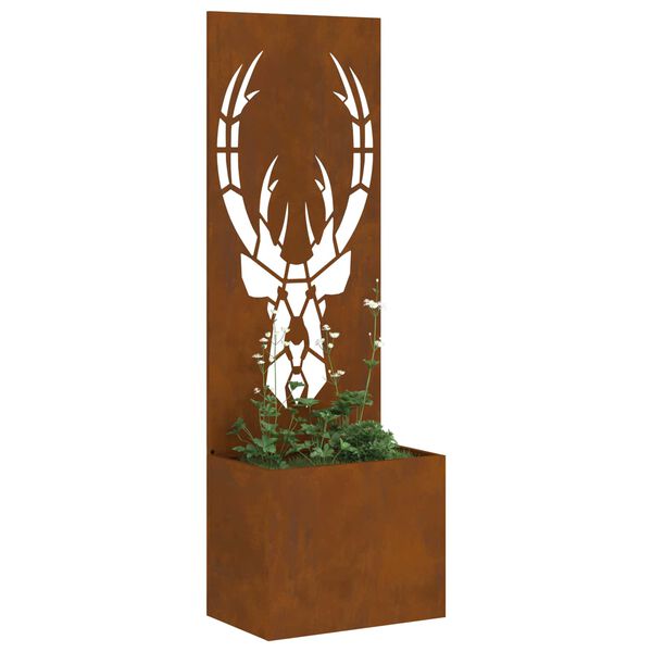 Se afișează imaginea 3 din 12