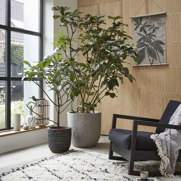 Capi Jardinieră &icirc;n formă de ou Nature Row, antracit, 35x34 cm, KRWZ932