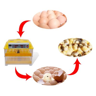 Incubator automat pentru 96 ouă de găină