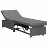 vidaXL Canapea extensibilă Gri &icirc;nchis 194 x 50 x 82 cm țesătură
