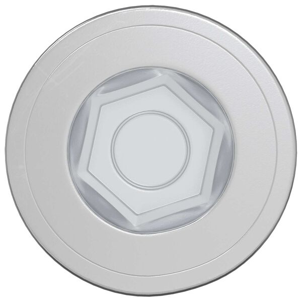 vidaXL Șuruburi confirmat 2 pcs Argintiu &Oslash;7 x 58 mm Metal