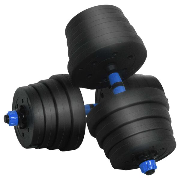 vidaXL Set Haltere și Bară 2 &icirc;n 1 30kg Negru și Albastru
