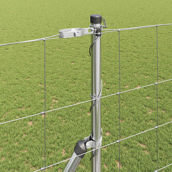 Se afișează imaginea 4 din 15