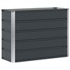 vidaXL Jardinieră Antracit 100 x 40 x 75 cm Oțel