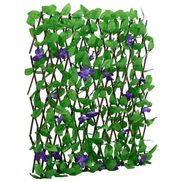 Se afișează imaginea 1 din 6