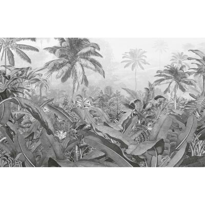 Komar Fototapet mural Amazonia, alb şi negru, 400x250 cm