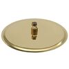 vidaXL Cap de duș tip ploaie rotund, auriu, 30 cm, oțel inoxidabil