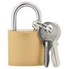 vidaXL U Lock cu Chei 100 buc. Alamă Fier