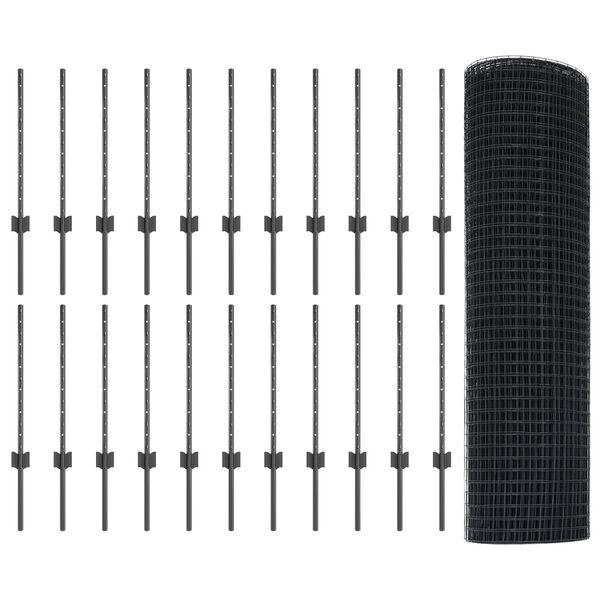 Se afișează imaginea 1 din 11