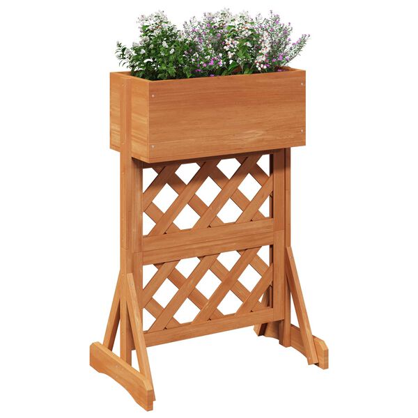 Se afișează imaginea 3 din 10