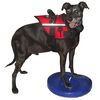 FitPAWS Disc de echilibru pentru animale de companie, albastru, 36 cm