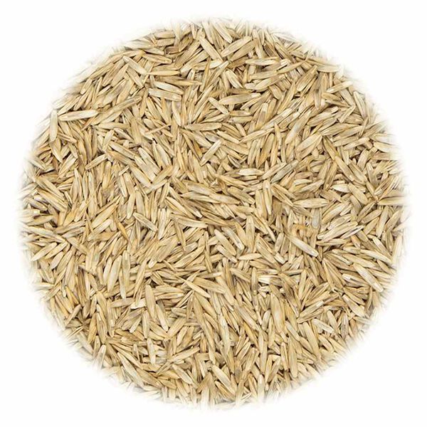 vidaXL Semințe de gazon pentru teren sportiv și loc de joacă, 30 kg