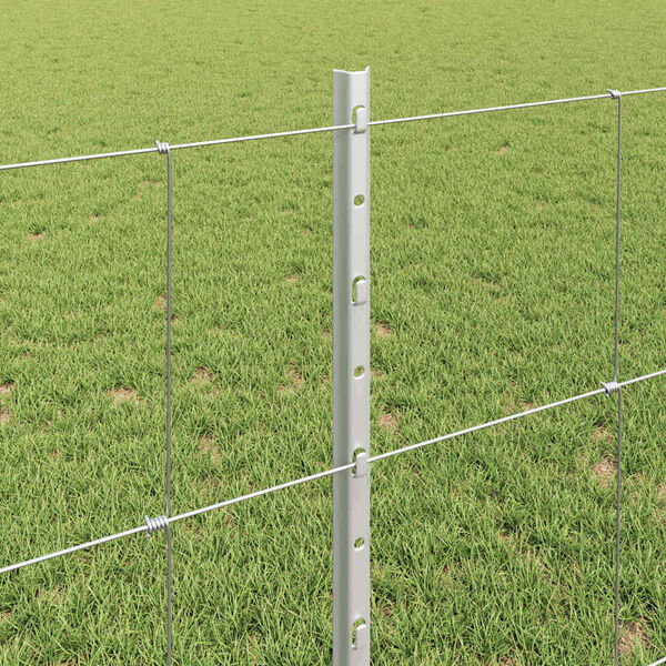 Se afișează imaginea 4 din 13