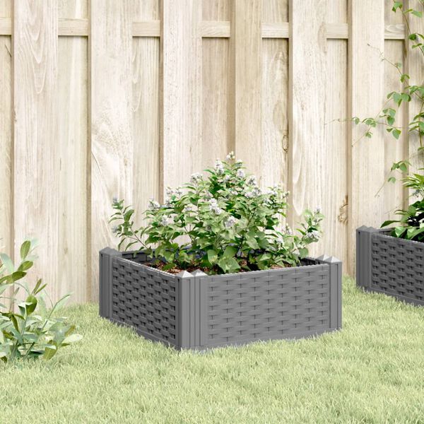 Se afișează imaginea 3 din 8