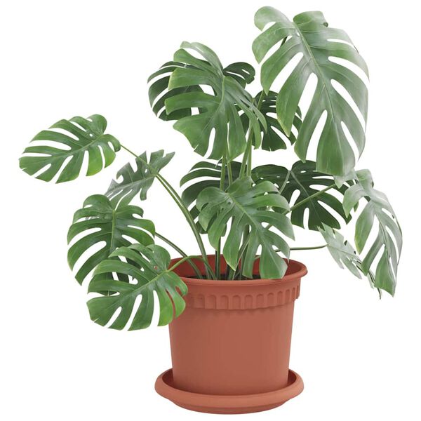 vidaXL Tavă rotundă pentru flori 24 pcs Roșu cărămidă &Oslash; 14 x 2 cm