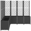 Imagine in miniatură a produsului 4 din 9