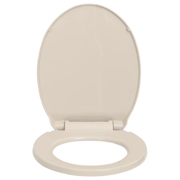 Se afișează imaginea 4 din 10