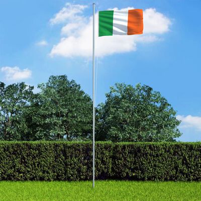 vidaXL Steag Irlanda și stâlp din aluminiu, 6,2 m